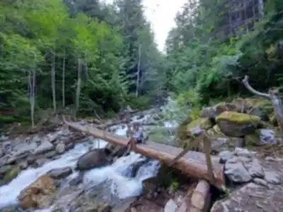 Explore Tunnel Bluffs trail