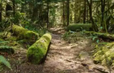 Découvrir Cypress Falls Park en Montagnes Côtières de Vancouver