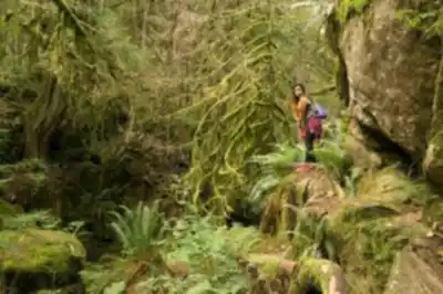 Explorer le sentier Cypress Falls Park