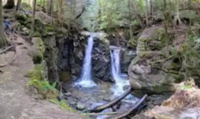 Sentier de randonnée Cypress Falls Park - paysage naturel