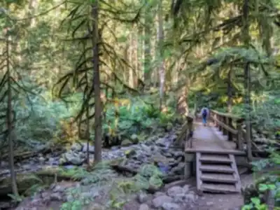 Vue en randonnée de Cypress Falls Park