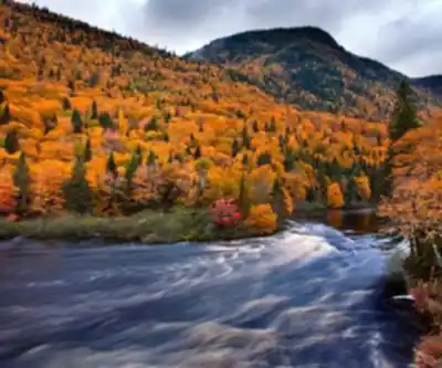 Sentier de randonnée Parc National De La Jacques-cartier - paysage naturel