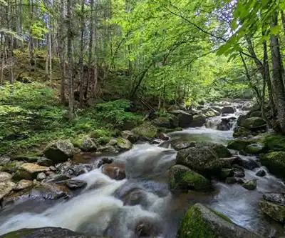 Randonnée Parc National De La Jacques-cartier - nature et plein air
