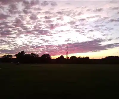 Overpeck County Park hiking trail - natural landscape