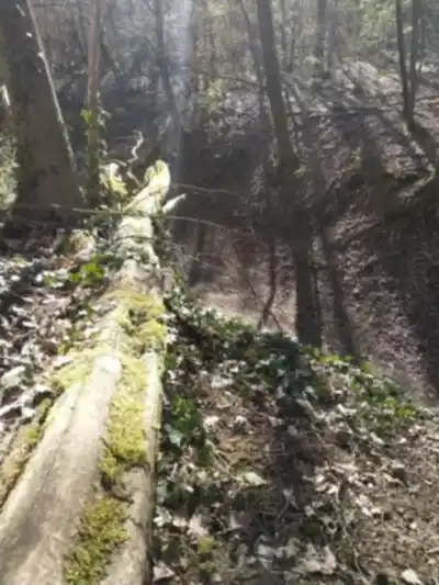 Discover Sentier Des Rapaces in Rhône