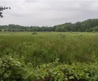 Tamarack Park hiking trail - natural landscape