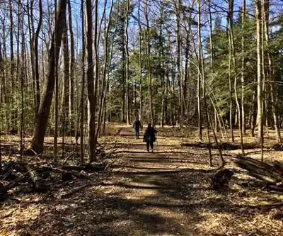 N Country Trail hiking trail - natural landscape