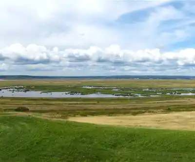 Sackville Waterfowl Park hiking trail - natural landscape