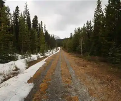 Sentier de randonnée Smutwood Peak Trailhead - paysage naturel