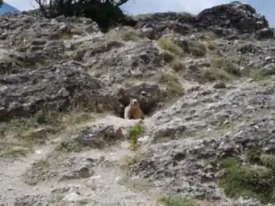 Discover Sentier Des Marmottes in Hautes-Alpes