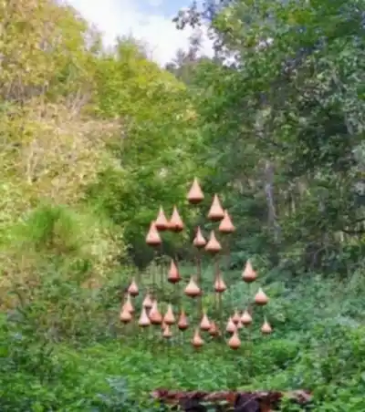 Randonnée Forêt Départementale de la Cantinière - nature et plein air