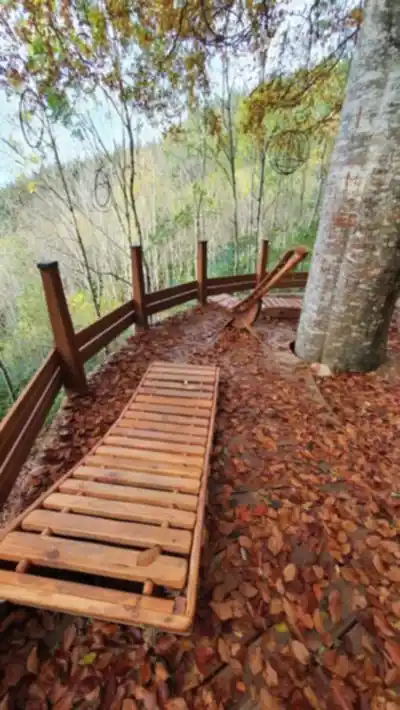Explorer le sentier Forêt Départementale de la Cantinière