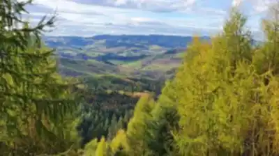 Vue en randonnée de Forêt Départementale de la Cantinière