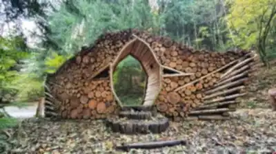 Sentier de randonnée Forêt Départementale de la Cantinière - paysage naturel