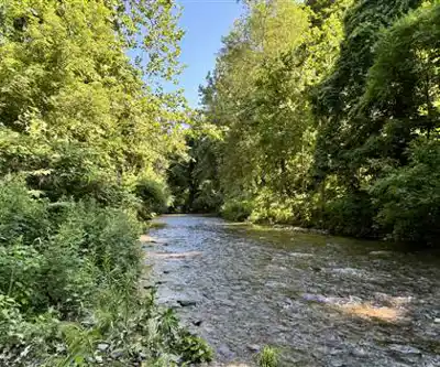 Sentier de randonnée Conklin's Gully - paysage naturel