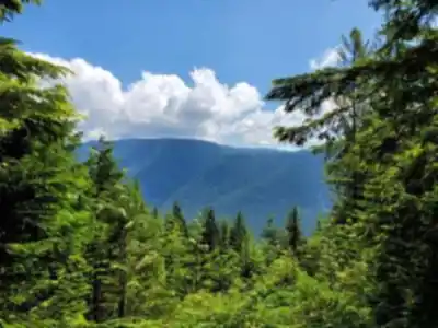 On the trails of Golden Ears Provincial Park