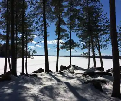 Sentier de randonnée Loom Lake - paysage naturel