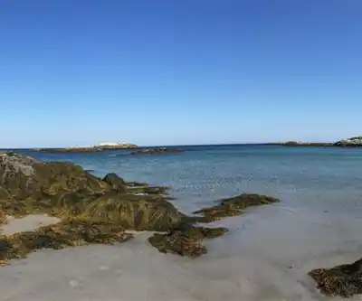Sentier de randonnée Kejimkujik National Park Seaside - paysage naturel