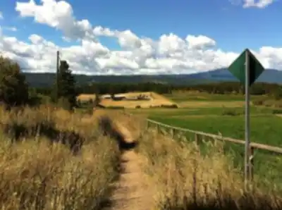 Hiking view of Enderby Cliffs Trail Parking