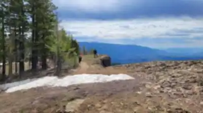 Enderby Cliffs Trail Parking hike - nature and outdoors