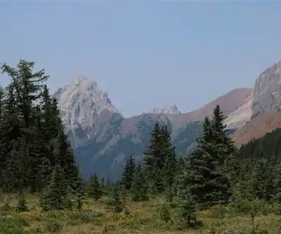 Sentier de randonnée Mount Lipsett - paysage naturel