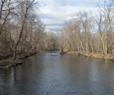 Darlington County Park hiking trail - natural landscape