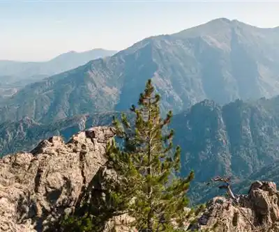 Gorges du Tavignano hiking trail - natural landscape