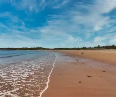 Sentier de randonnée New River Beach Provincial Park - paysage naturel