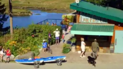 Discover Living Forest Oceanside Campground & RV Park in Vancouver Island
