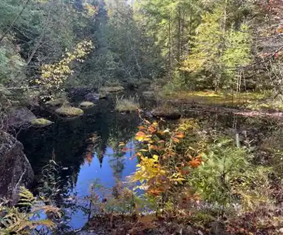 Explore Mont Condor trail