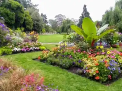 Découvrir Beacon Hill Park en Île de Vancouver