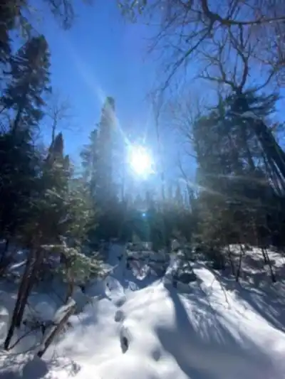 Explore Sentier pédestre du lac Kénogami trail