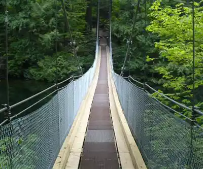 Coquitlam Lake hiking trail - natural landscape