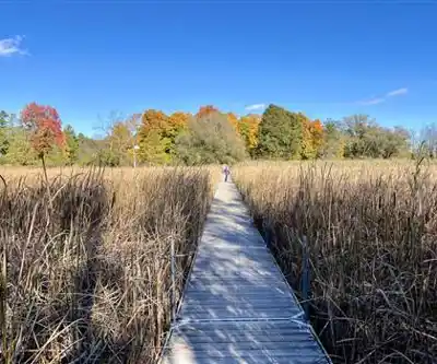 Sur les sentiers de Parc régional de la Rivière-du-Nord | Chutes Wilson