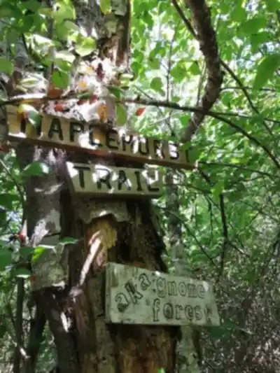 Discover Maplehurst Trails in Vancouver Island