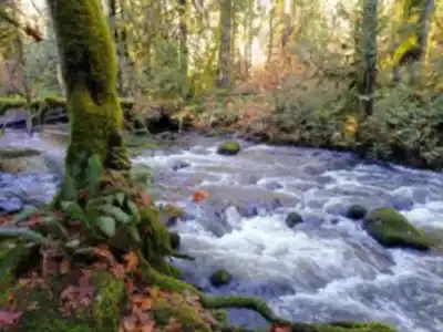 Hiking view of Maplehurst Trails