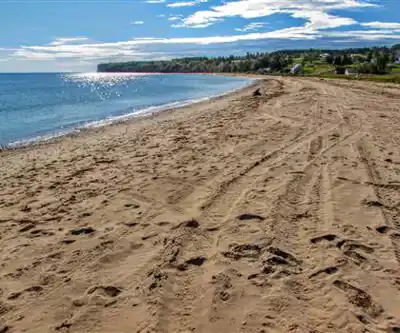 Sentier de randonnée Plage Haldimand - paysage naturel