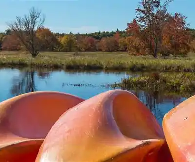 Snake Lake hiking trail - natural landscape