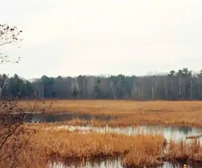 Cutts Island Trail on the Rachel Carson Nature Preserve hiking trail - natural landscape