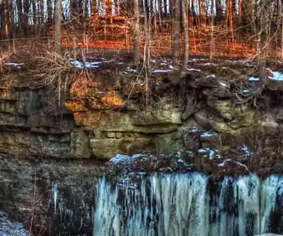 Sentier de randonnée Falls Reserve Conservation Area - paysage naturel