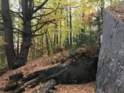 Sentier de randonnée Parc De La Coulée - paysage naturel
