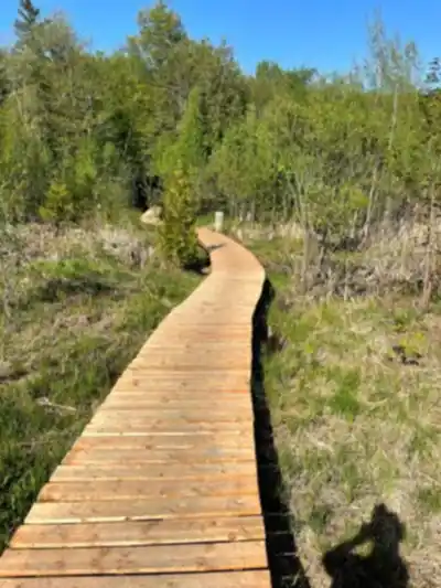 Découvrir Parc De La Coulée en Laurentides