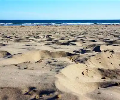 Lawrencetown Beach Provincial Park hiking trail - natural landscape