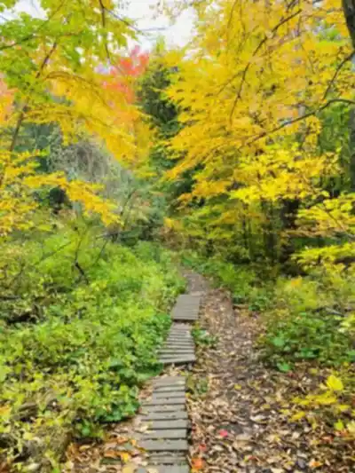 Oak Ridges Trail hike - nature and outdoors