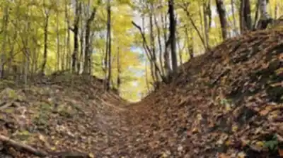 Nature walk at Oak Ridges Trail