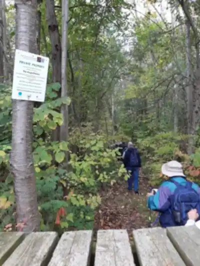 Oak Ridges Trail scenery - hiking