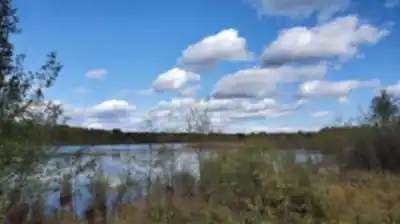 Discover Oak Ridges Trail in York, Durham and Headwaters