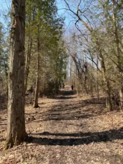 Oak Ridges Trail hiking trail - natural landscape