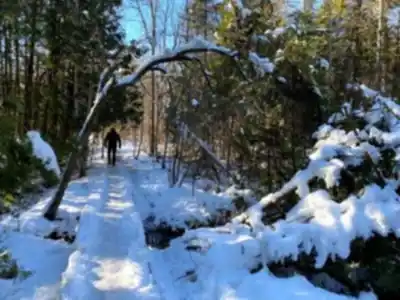 Hiking view of Oak Ridges Trail
