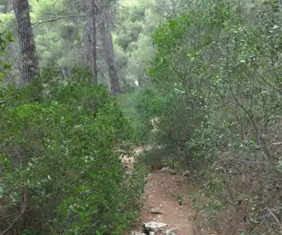 Gorges D'ollioules scenery - hiking